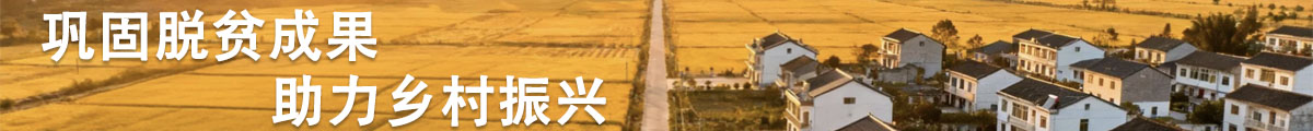 巩固脱贫成果 助力乡村振兴